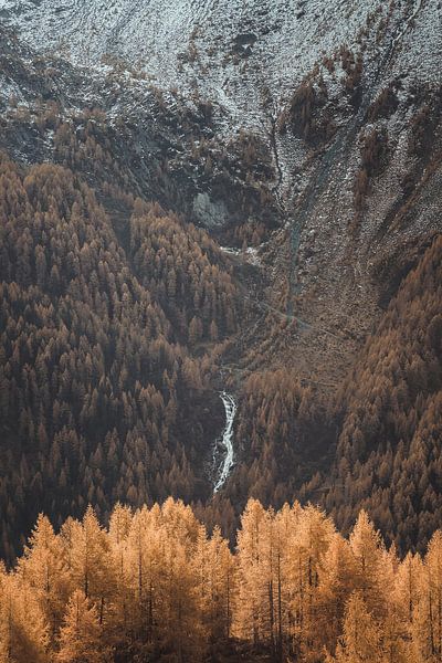 Der Fall der Draperie von Thomas de Franzoni