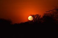The Sunset