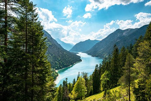 Prachtig uitzicht op de Plansee en de Thaneller