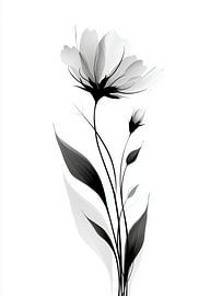 Botanical Shadows - Durchscheinende Blüte im Röntgen-Style von MArt