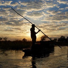 Okavangodelta van Paul Riedstra