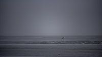 Sailing on the mudflats