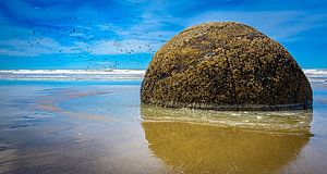Einer der Moeraki Boulders, New Zealand