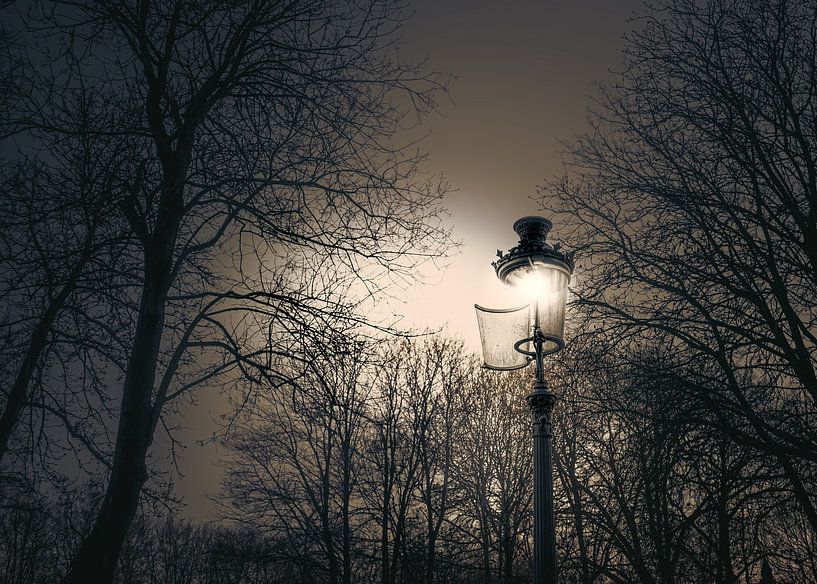 Ontsnappend licht van it's a Boone thing