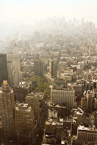 Manhattan gezien van Empire State Building kleur van David Berkhoff
