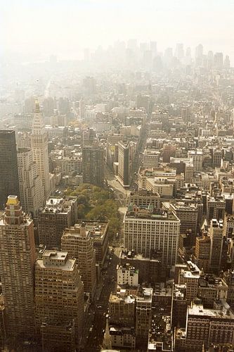 Manhattan gezien van Empire State Building kleur