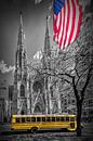 NEW YORK CITY St. Patrick's Cathedral von Melanie Viola Miniaturansicht