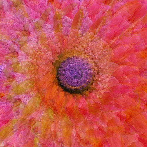 De prachtige bloemencirkel