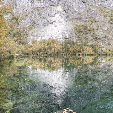Obersee V