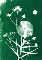 Dark green flowers
