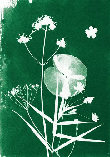 Donkergroene bloemen