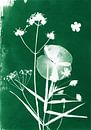 Dark green flowers by Lies Praet thumbnail