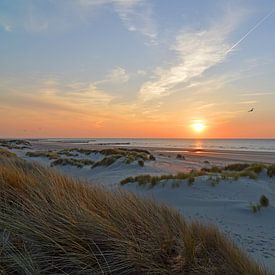 Strand van Zeeland von Love Zeeland