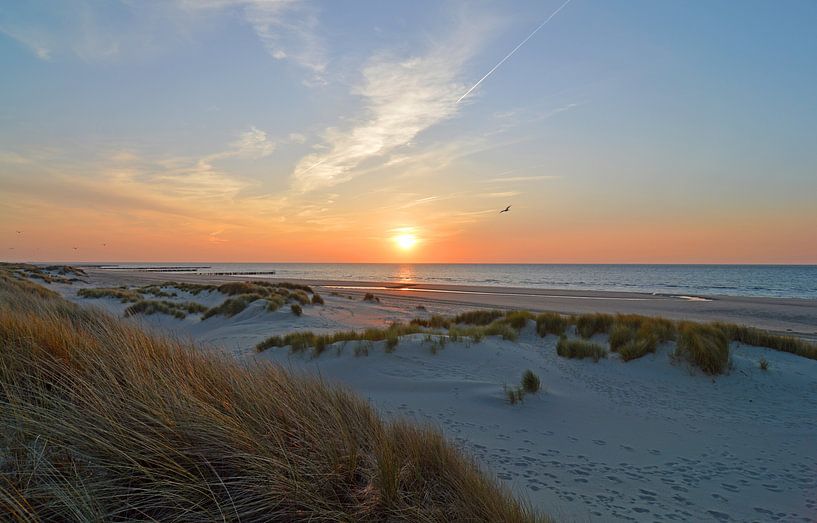 Strand van Zeeland by Love Zeeland