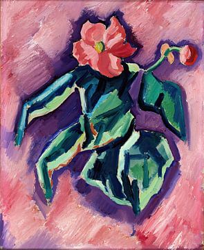 Roze begonia's (1928 - 1929) door Marsden Hartley van Peter Balan