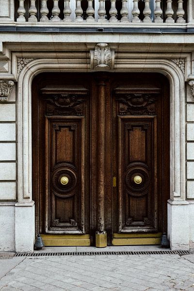 Brown door entrance | Paris | France Travel Photography by Dohi Media