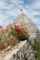 Trulli
