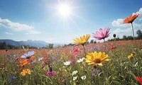 Een bloemenveld met een blauwe lucht op de achtergrond