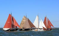 Watersport Lemsteraken