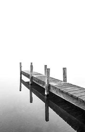 een mistige ochtend van Michel Knikker