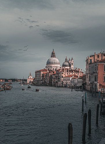 Venice 