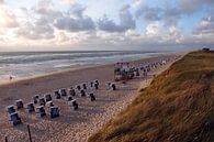 Endloser Strand bei Rantum auf Sylt von Martin Flechsig Miniaturansicht