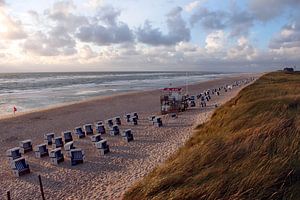 Dünen und Strand bei Rantum auf Sylt