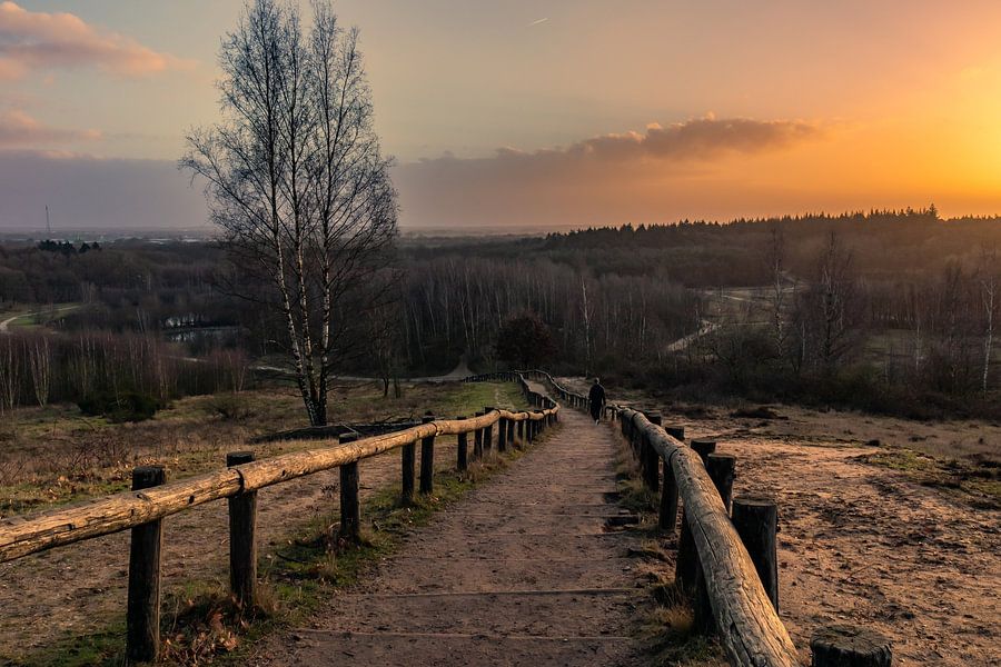 Mooie zonsopkomst in natuurgebied met een hoge trap
