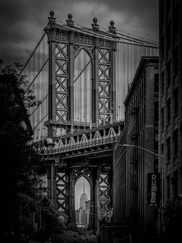 'The Dumbo View' in Black and White