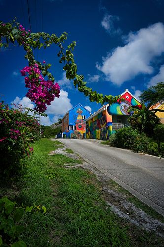 Colourful houses art with botany of curacao