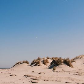 Warme duinen van Merel van Luijk