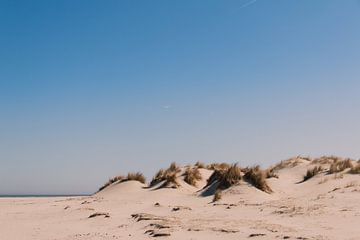 Warme duinen van Merel van Luijk