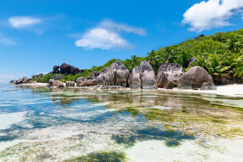 Paradis tropical à Anse Source d'Argent par Nancy Pauwels Photo