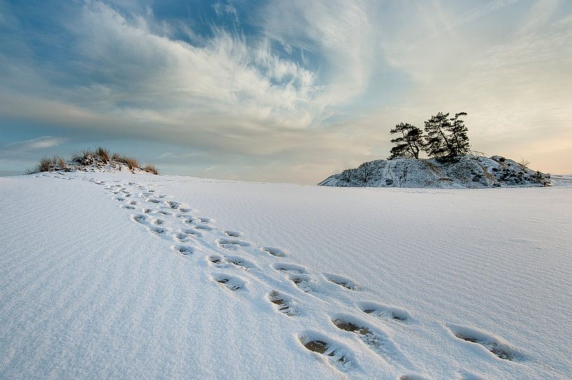 Winter. von Piet Haaksma