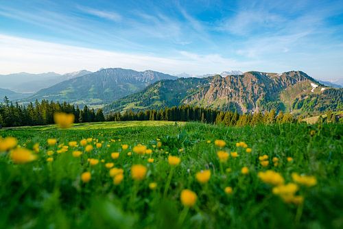 Bloemrijk uitzicht op de Oberjoch en de Iseler