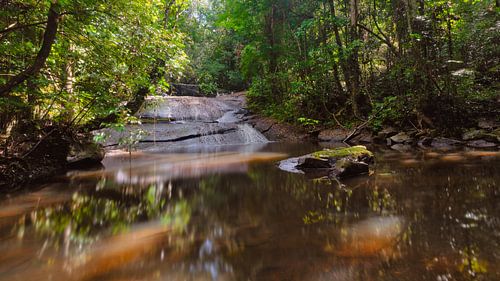 Belle chute d'eau dans la jungle du Suriname.