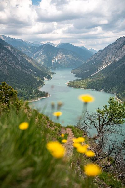 Bloemrijk uitzicht op de Plansee van Leo Schindzielorz