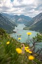 Bloemrijk uitzicht op de Plansee van Leo Schindzielorz thumbnail