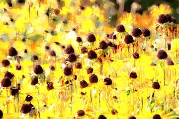 Sonnenhut - Goldsturm - Impressionistisch von Petra Dreiling-Schewe