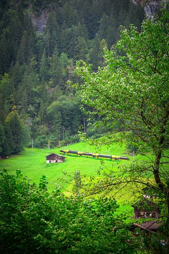 Gele Flits: Treinreis door Lauterbrunnens Natuurpracht