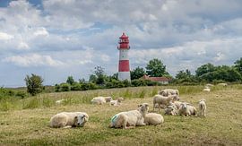 Leuchtturm Falshöft – Ostseeküste
