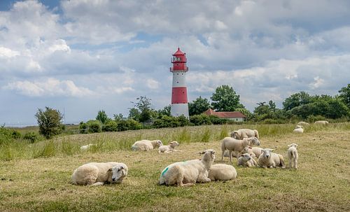Vuurtoren Falshöft - Oostzeekust