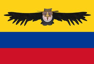 Condor with sombrero vueltiao by Grüntyers .