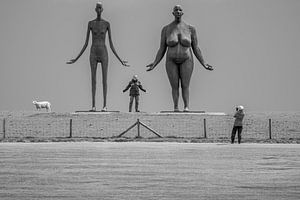 Kunst in Friesland