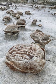 Gestreepte rotseieren met zandsteen bij dageraad, Bisti Badlands, De-Nah-Zin Wilderness Area, New Me van Frank Fichtmüller