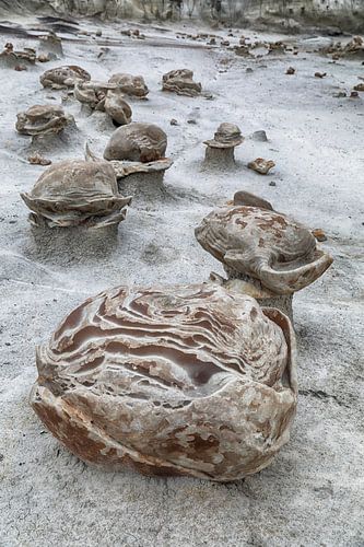 Gestreepte rotseieren met zandsteen bij dageraad, Bisti Badlands, De-Nah-Zin Wilderness Area, New Me