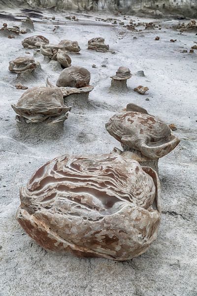 Striped rock eggs with sandstone at dawn, Bisti Badlands, De-Nah-Zin Wilderness Area, New Mexico, US by Frank Fichtmüller