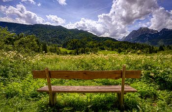 Sloveens Bankje   (492828)