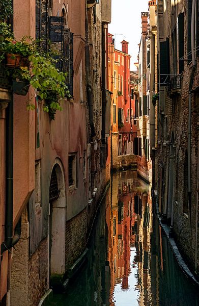 Venice by Hello Pompoyo
