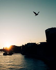 Die Themse und ein Vogel von M10foto